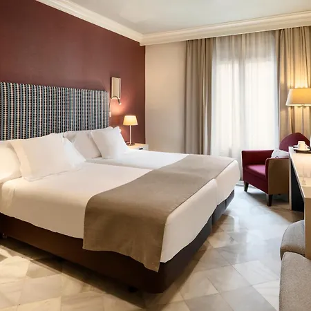 Hotel Vincci Albayzin 4*