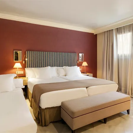 Vincci Albayzin Hotel 4*